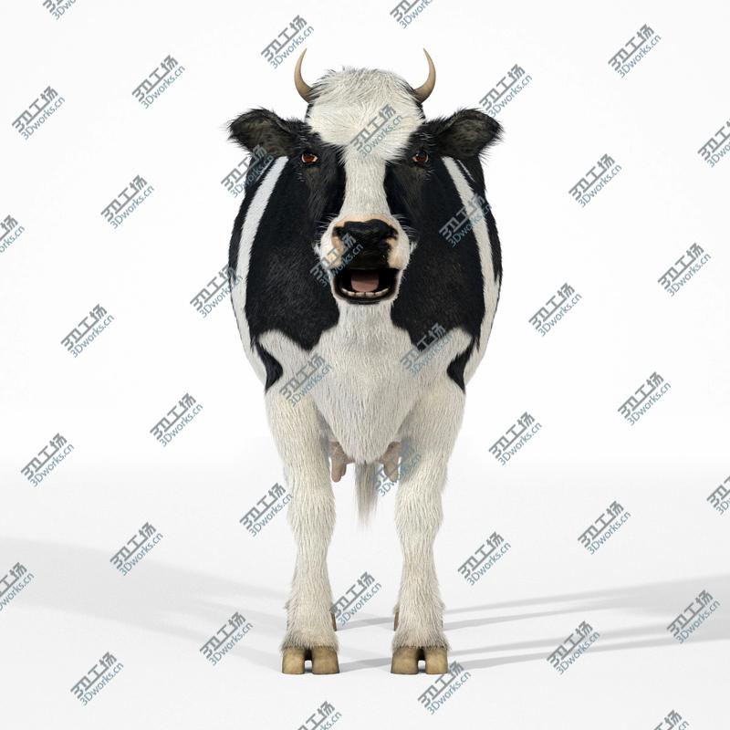 images/goods_img/202104091/Cow - realistic - rigged and animated/5.jpg